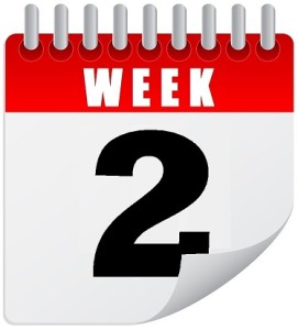 8-Week Rapid Transformation Program Week 2