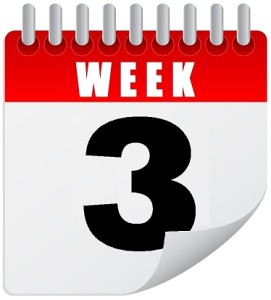 8-Week Rapid Transformation Program Week 3
