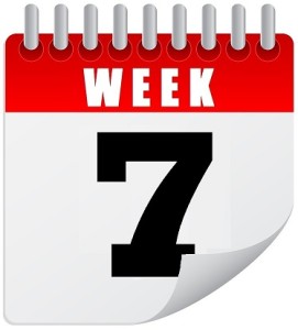 8-Week Rapid Transformation Program Week 7