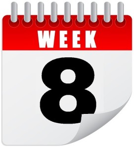 8-Week Rapid Transformation Program Week 8